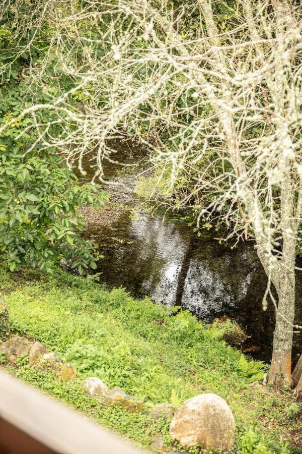 Affittacamere Lugar Del Rio Couzadoiro Esterno foto